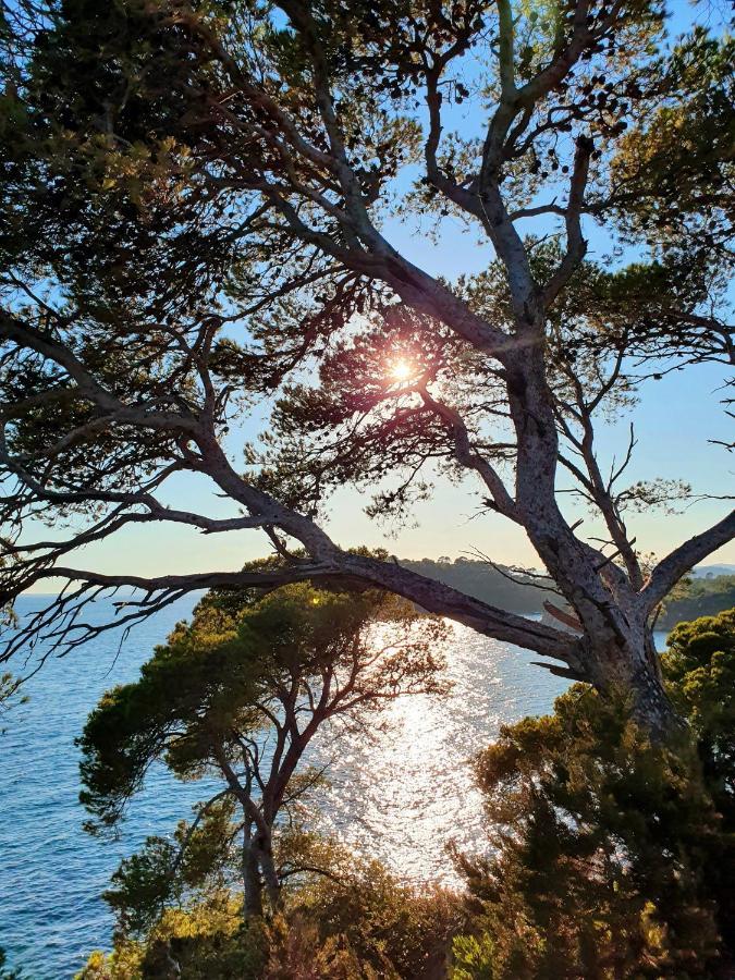 Darshan Zen Collobrières Εξωτερικό φωτογραφία